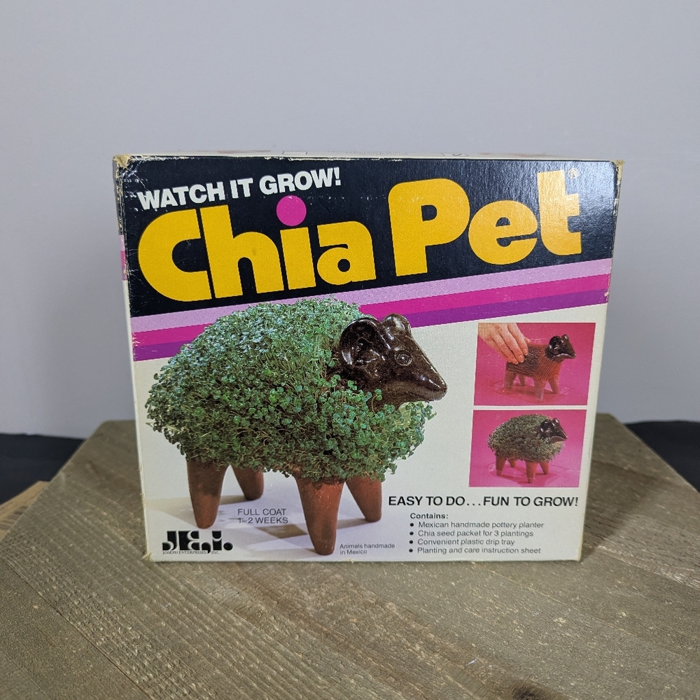 Vintage Chia Pet Bull – NEW in Box – 1980s/90s Ceramic Chia Planter – Retro Gift